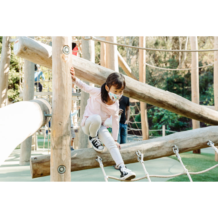 Taman Bermain Anak-anak Set Pe - Kids Outdoor Climbing Frame ulasan dan harga
